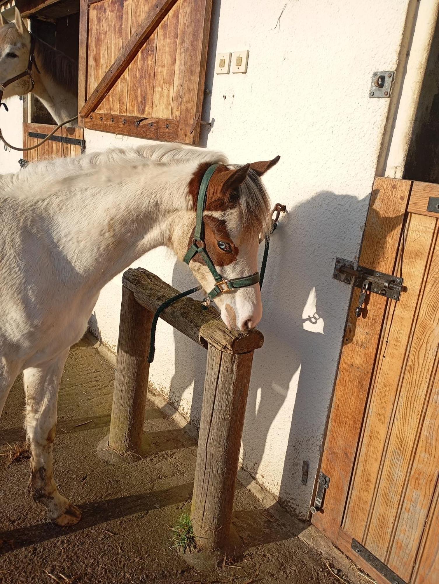 Le Gite Du Galou Sully  Exterior foto